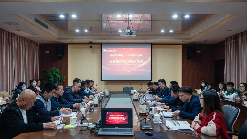 短视频拍摄，麦克风选择：性价比背后的考量因素